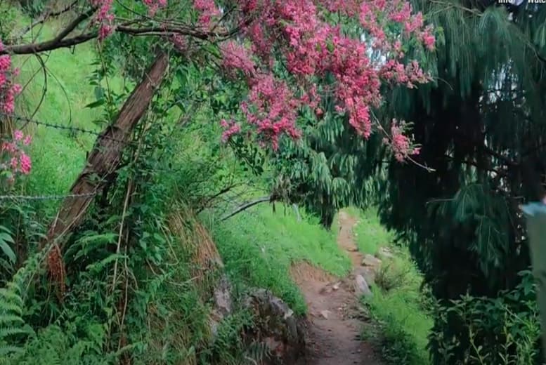 Himalayan Nature & Adventure Tours
