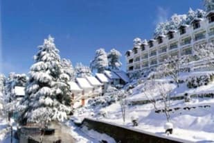 Green Top Hotel